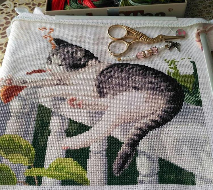 Изображение к отзыву Имка(@imkavolsheva) №3