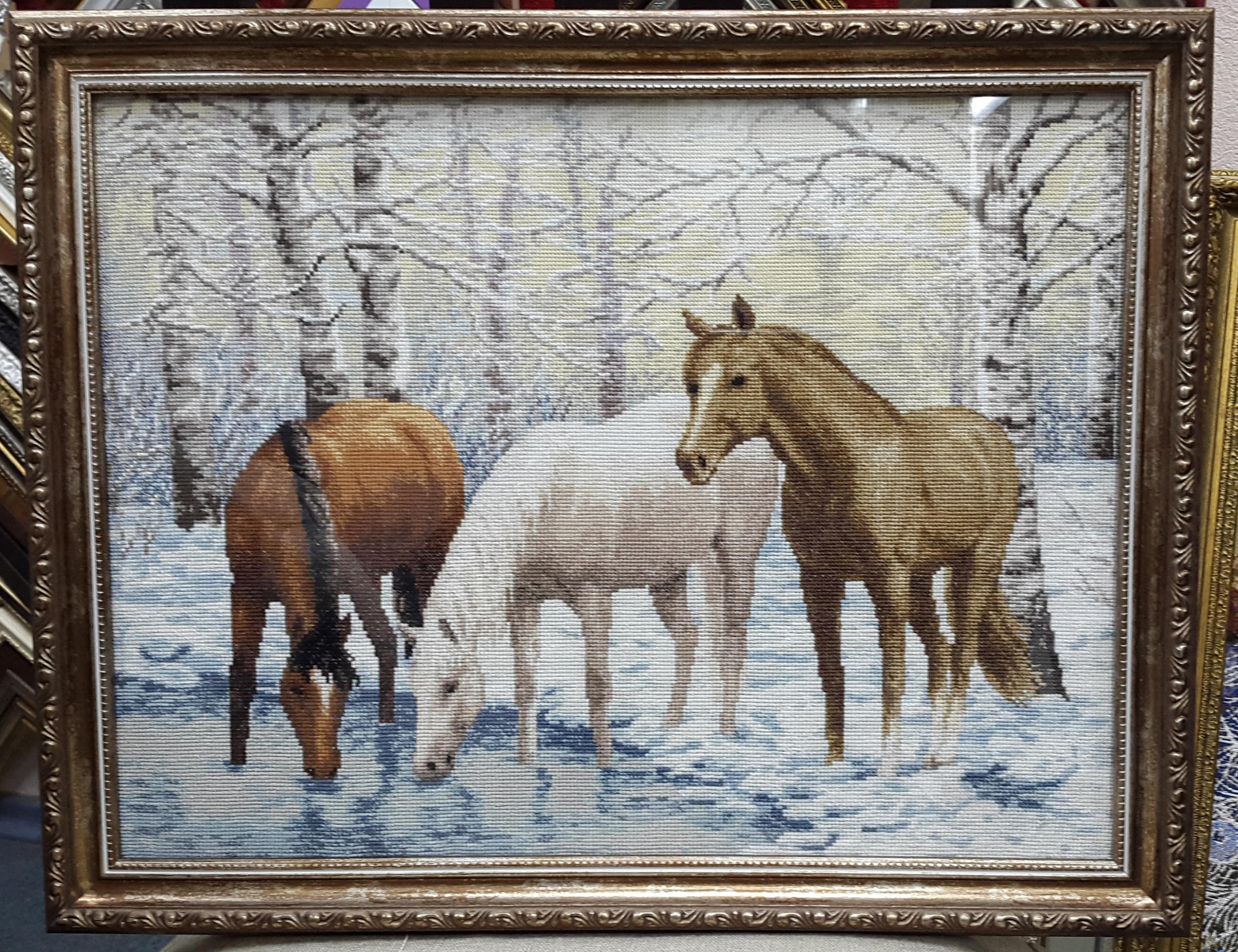 Изображение к отзыву Елена