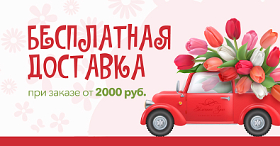 Бесплатная доставка - при заказе от 2000₽