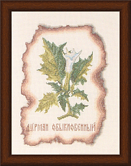 Вышивка КК-003 Дурман обыкновенный Вышивка КК-003 Дурман обыкновенный