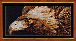 Вышивка З-009 Взор орла Вышивка З-009 Взор орла